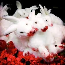 فروش خون خرگوش