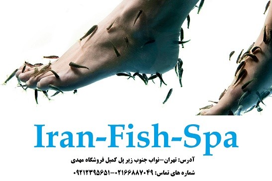 ایران فیش اسپا