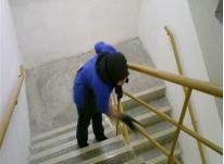 شرکت خدمات نظافتی ریحانه افق البرز ش.ث 3824