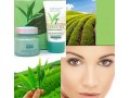 کرم سفیدکننده دایمی پوست چای سبز کاملا گیاهی - سفیدکننده پوست صورت