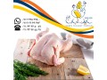 فروش سایزهای مختلف مرغ منجمد سابین تجارت - کرم منجمد