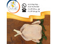 تامین و عرضه گوشت مرغ تازه سابین  - تازه بازسازی شده
