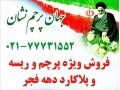 فروش ویژه پرچم و ریسه و تزئینات دهه فجر  - ریسه سوزنی