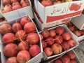 فروش عمده انار - باغ انار ساوه