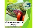 طرح توجیهی پرورش ماهی قزل آلا ۲۰ تن در سال - فرش نقش ماهی تبریز