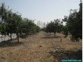 فروش باغ و زمین های کشاورزی جهت سرمایه گذاری با سند مالکیت  - مالکیت آب در ایران