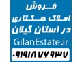 فروش املاک هکتاری در شرق استان گیلان