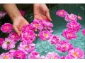 آب مخصوص عرق گیری و گلاب گیری - گلاب سنتی قمصر کاشان