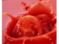 فروش تخصصی رب گوجه فرنگی - بذر هویج فرنگی