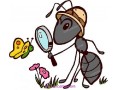 Icon for سمپاشی حشرات منازل