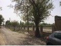 فروش زمین جهت احداث باغ تالار و گلخانه و سردخانه در کرج - تالار عروسی در مشهد
