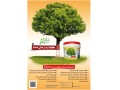 اولین و برترین تولید کننده محافظ تنه درخت - درخت صنوبر