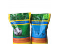 فروش بذر چمن آفریقایی –  هر کیلو بذر چمن برای چند متر 09195284072 - dc پنج کیلو وات