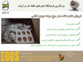 فروش تخم نطفه دار سالم مرغ - سالم سازی آب