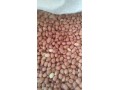 فروش مغز بادام زمینی سودانی به طور مستقیم و بدون واسطه - بادام زمینی چینی