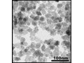 عرضه نانوذرات YSZ (Yttria Stabilized Zirconia) - نانوذرات آزمایشگاهی
