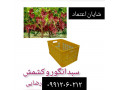 Icon for تولید و فروش سبد 20 کیلویی انگور و کشمش