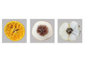 سورتر میوه؛ راهکار جدید پندتک - راهکار دفع حشرات
