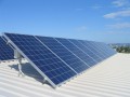 پنل خورشیدی YINGLI - Yingli Solar