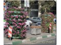 گلدان فایبر گلاس - گلدان فایبرگلاس شهری
