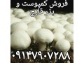 فروش کمپوست و خاک پوششی قارچ و بذر قارچ دکمه ای و صدفی و تجهیزات سالنهای تولید قارچ  - کود ورمی کمپوست در مشهد