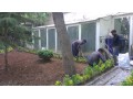 محوطه سازی و باغبانی تخصص ماست - باغبانی عمومی