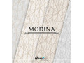 آلبوم کاغذ دیواری مدینا MODINA