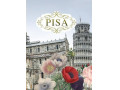 آلبوم کاغذ دیواری پیزا PISA - برج پیزا