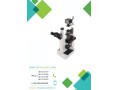 فروش میکروسکوپ اینورت بیولوژی - بیولوژی سلولی مولکولی