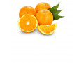 اسانس پودری پرتقال  - پرتقال تامسون خشک