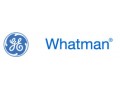 لیست قیمت محصولات واتمن انگلستان تا تاریخ 91.6.31 - تاریخ ادبیات سوم