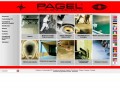 فروش گروت پاگل آلمان -  Pagel Grout - گروت ثابت سازی