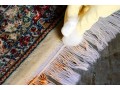 شستن قالی,قالیشویی,مبلشویی تخصصی - قالی سنتی دست بافت