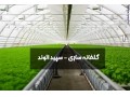 شرکت گلخانه ساز سپید الوند - گلخانه سازی - گلخانه اسپانیایی | نصب گلخانه - چاپ الوند