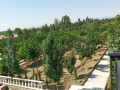یک هتکار و 110 متر مربع باغ در کرج ( نظر آباد ) - مربع پیرسون