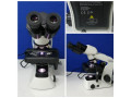 میکروسکوپ بیولوژی المپیوس cx23  olympus - بیولوژی و آناتومی چوب