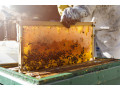 Icon for خرید و فروش انواع عسل طبیعی ارگانیک و محصولات کندو ، به صورت عمده و تناژ