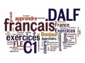 استاندارد حرفه ای تدریس خصوصی فرانسه در ۱۵ جلسه - جلسه ای