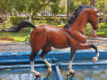 اسب فایبرگلاس با آناتومی اسب واقعی - آناتومی ماساژ