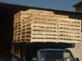 تولید وپخش پالت چوبی بابهترین کیفیت09190107631 - بابهترین کیفیت و نازلترین قیمت