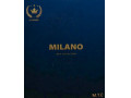 Icon for آلبوم کاغذ دیواری میلانو MILANO
