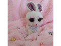 عروسک خرگوش کیوت - خرگوش مینیاتوری