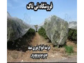 توری ضد سرما درختان و گل و گیاه - گلخانه - 09197443453