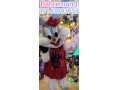 کرایه تن پوش های عروسکی فانتزی تبلیغاتی با هنرمندان عروسک گردان آقا و خانم در جشن ها خانم بهره مند عروسکساز صدا و سیما 09143093759 - هنرمندان جنوب