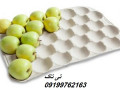 شانه مقوایی میوه ، شانه میوه بسته بندی 09199762163