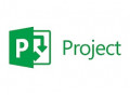 Microsoft Project 2019 اورجینال - فروش لایسنس مایکروسافت پروجکت 2019 - فروش لایسنس Microsoft Project 2016 - project control