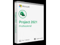 لایسنس پروجکت 2021 پروفشنال - پروجکت 2021 پروفشنال اورجینال - Project Professional 2021 - لایسنس اورجینال پروجکت 2021 پروفشنال - Professional Visualization Software