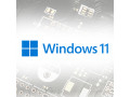 لایسنس ویندوز 11 Pro for Workstations - ویندوز 11 پرو ورک استیشن اورجینال - لایسنس اورجینال ویندوز 11 پرو ورک استیشن