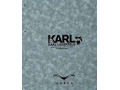 آلبوم کاغذ دیواری کارل KARL - کارل فیشر 1 لیتری 188005 مرک آلمان