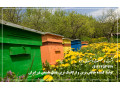 Icon for تولید کننده  مرغوب ترین و ارگانیک ترین عسل طبیعی